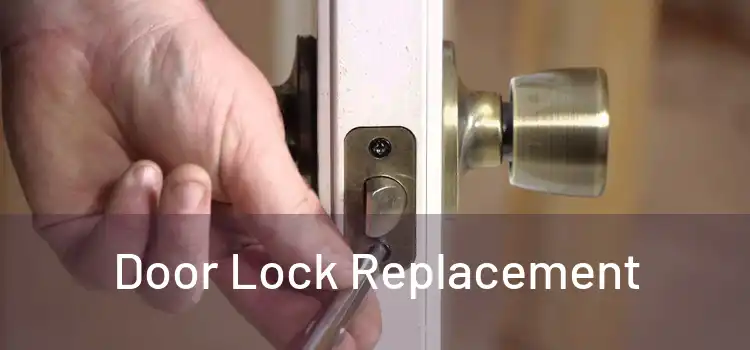  Door Lock Replacement 